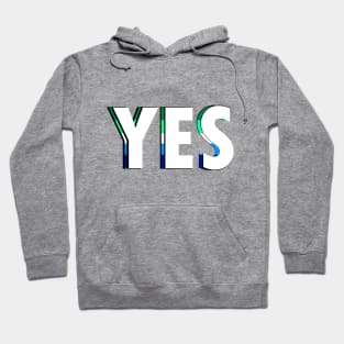 Gay Yes Hoodie